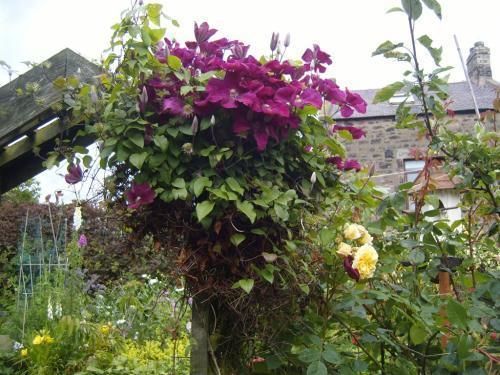 Caroline House Bed & Breakfast Berwick Upon Tweed Bagian luar foto