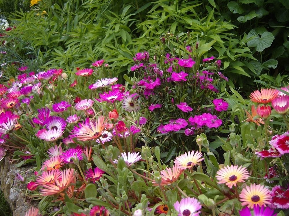 Caroline House Bed & Breakfast Berwick Upon Tweed Bagian luar foto